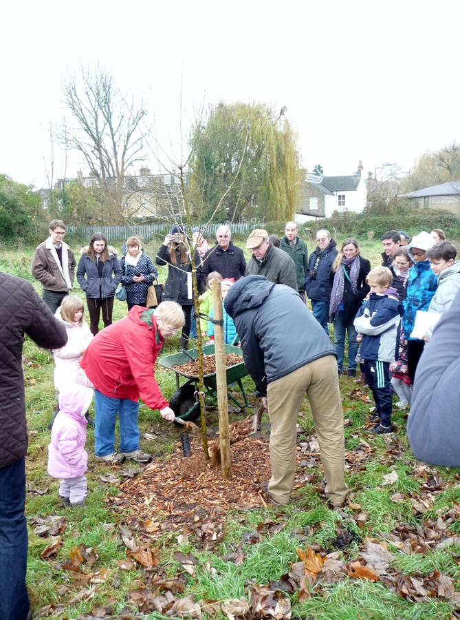 Inaugural Tree Planting Dec 3rd 2017